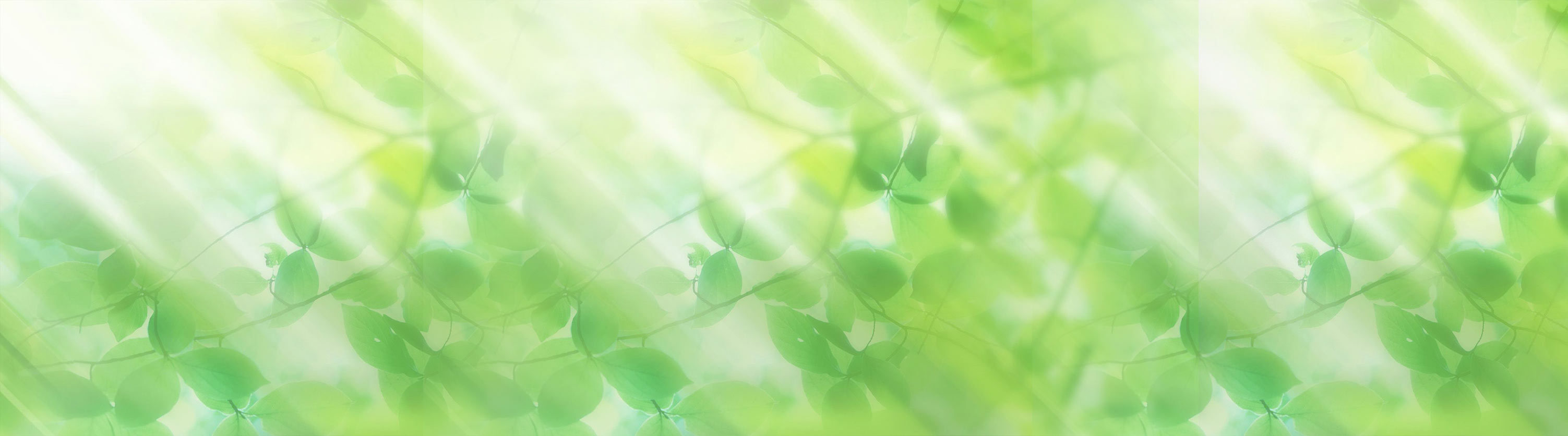 Food Paper Bags Manufactures In Sri Lanka